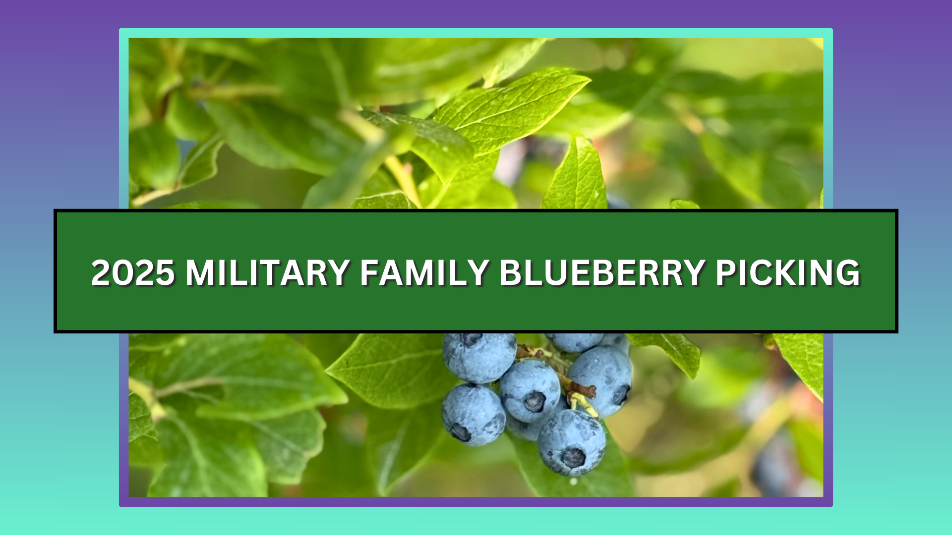 vtng family programs military family blueberry picking 2025