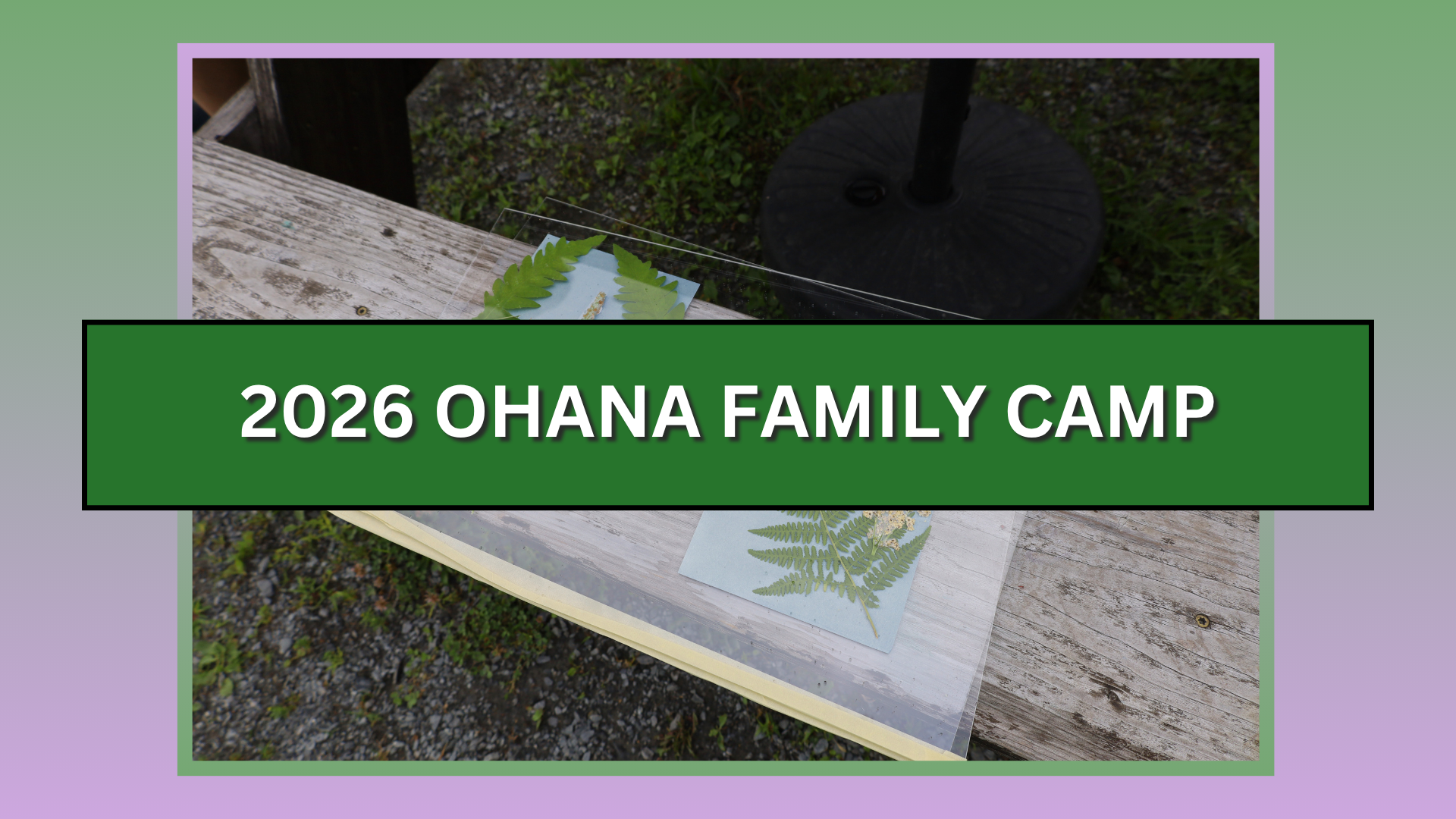 2026 ohana family camp album